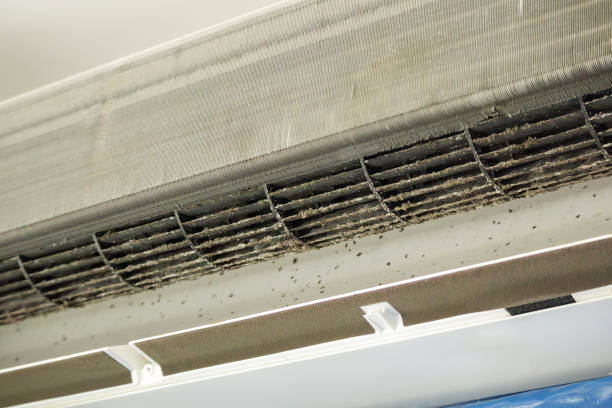 Best Affordable HVAC Duct Cleaning  in West Monroe, LA
